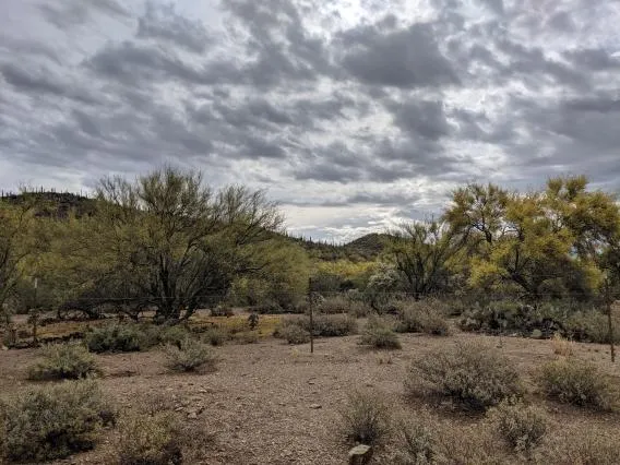 arizona desert
